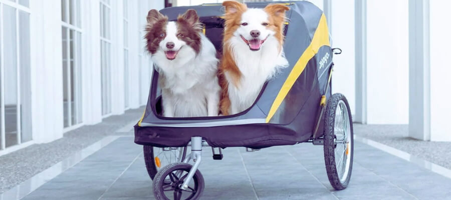 The Best Pet Strollers for Walking Your Dog